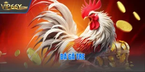 đá gà tre