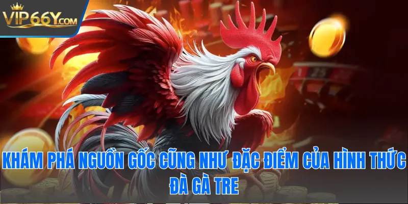 Khám phá nguồn gốc cũng như đặc điểm của hình thức đá gà tre