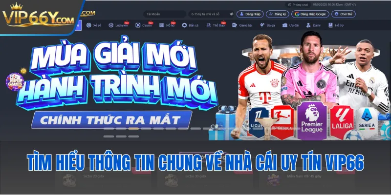 Tìm hiểu thông tin chung về nhà cái uy tín Vip66